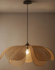 Ø 60 / Ø 100 - câble ajustable jusqu'à 120 cm