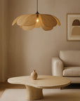 Ø 60 / Ø 100 - câble ajustable jusqu'à 120 cm