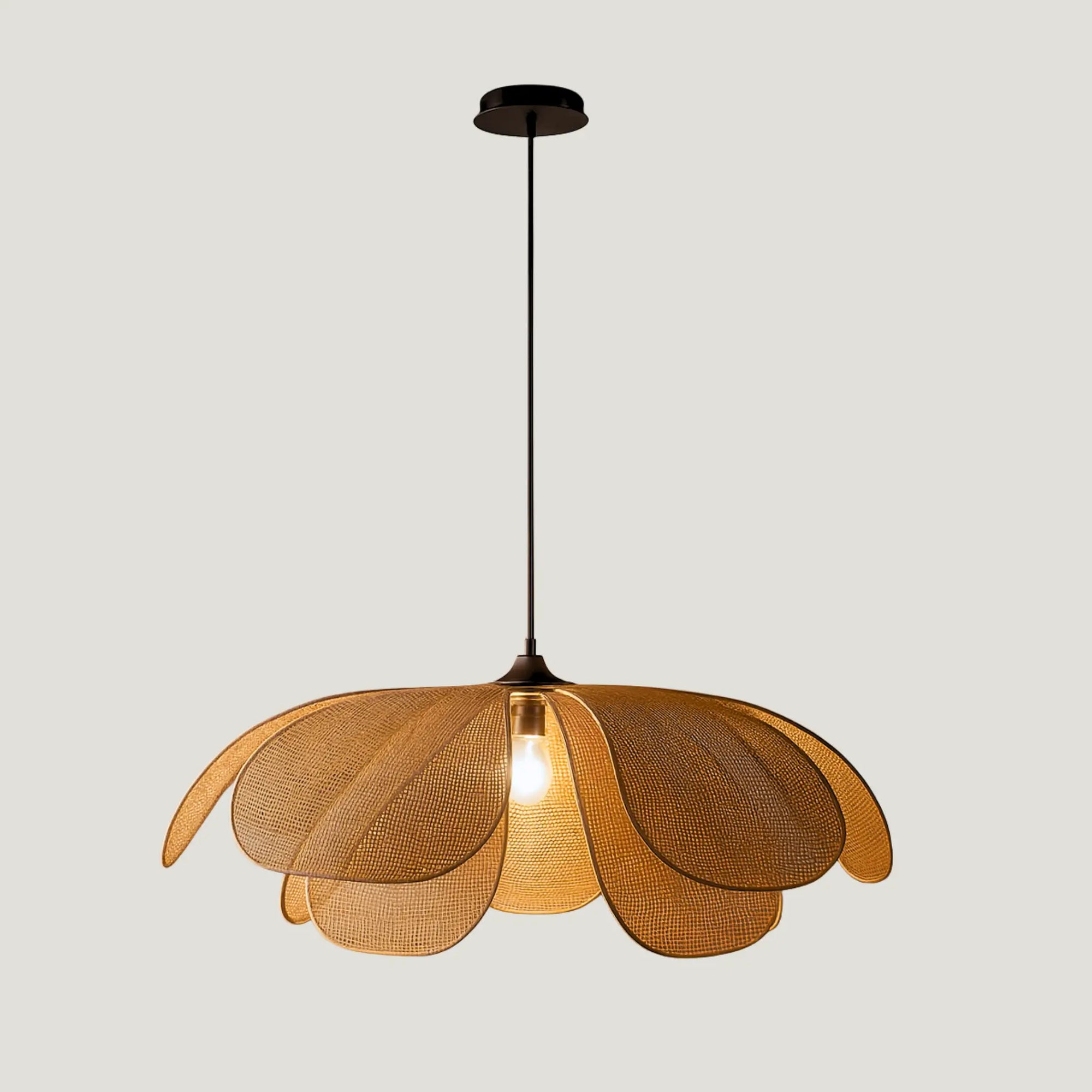 Ø 60 / Ø 100 - câble ajustable jusqu'à 120 cm